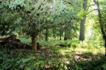 Additional Photo of Putteridge Park, Putteridge, Luton, Bedfordshire, LU2 8LF